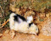 威廉 霍尔曼 亨特 : John Ruskin's dead chick